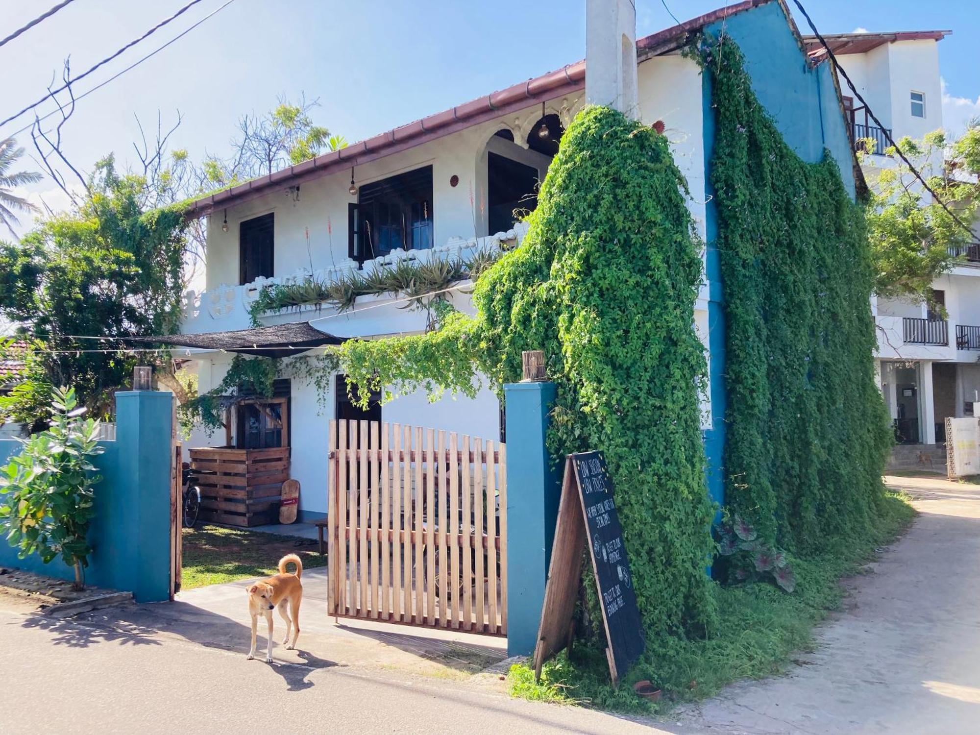 Just Another Guesthouse Polhena Экстерьер фото